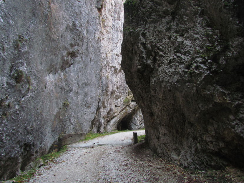 Oktober 2016 010 - Vara - Toamna - Iarna in Transylvania