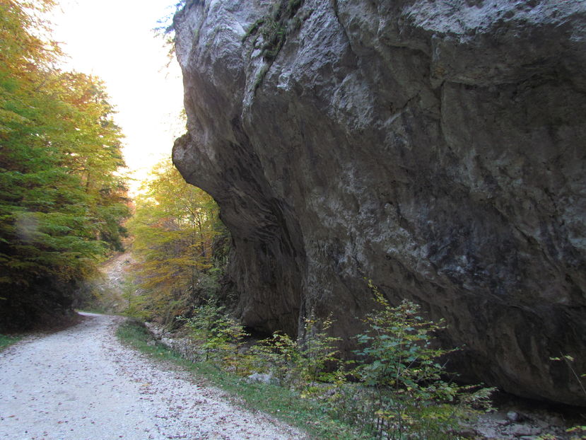 Oktober 2016 016 - Vara - Toamna - Iarna in Transylvania