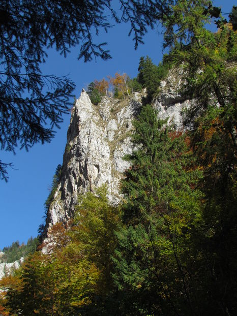 Oktober 2016 027 - Vara - Toamna - Iarna in Transylvania