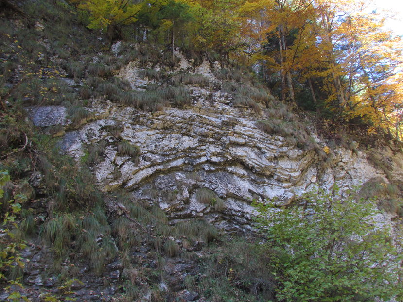 Oktober 2016 036 - Vara - Toamna - Iarna in Transylvania