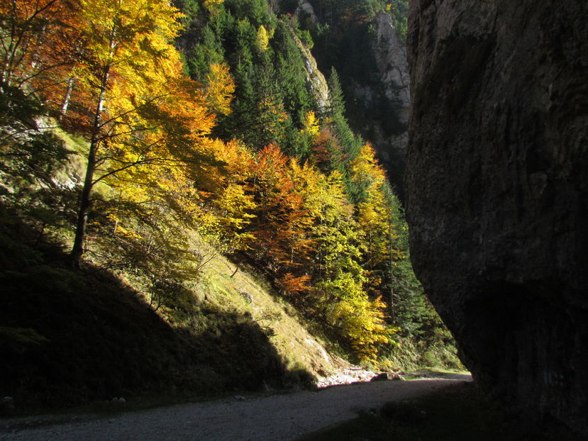 Oktober 2016 041 - Vara - Toamna - Iarna in Transylvania