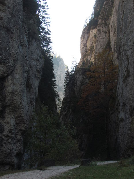 Oktober 2016 051 - Vara - Toamna - Iarna in Transylvania