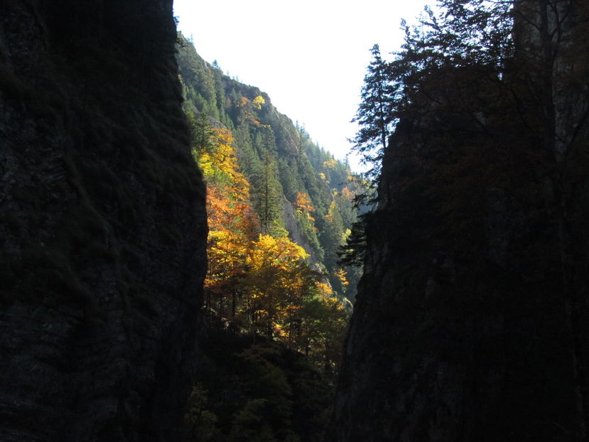 Oktober 2016 057 - Vara - Toamna - Iarna in Transylvania