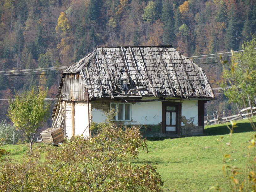 Oktober 2016 140 - Vara - Toamna - Iarna in Transylvania