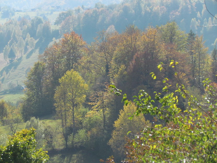 Oktober 2016 142 - Vara - Toamna - Iarna in Transylvania