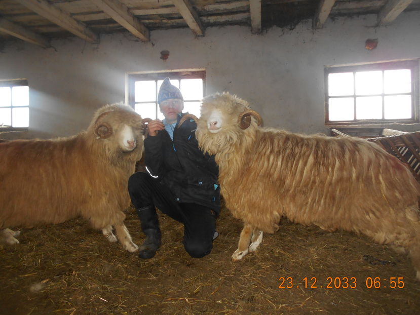 Picture 017 - Berbeci 2016-2017