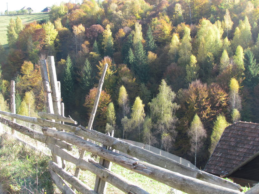 Oktober 2016 145 - Vara - Toamna - Iarna in Transylvania