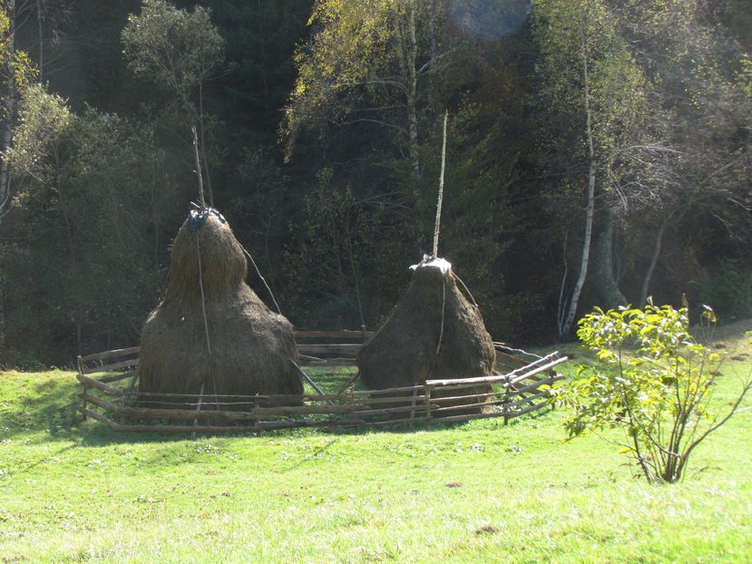 Oktober 2016 149 - Vara - Toamna - Iarna in Transylvania