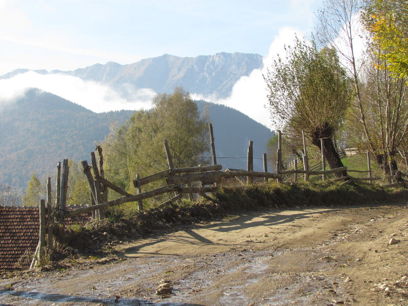 Oktober 2016 150 - Vara - Toamna - Iarna in Transylvania