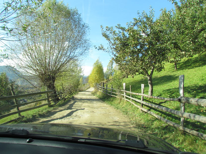 Oktober 2016 158 - Vara - Toamna - Iarna in Transylvania