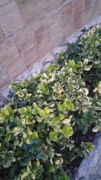  - Barcelona 2 Nov 2016