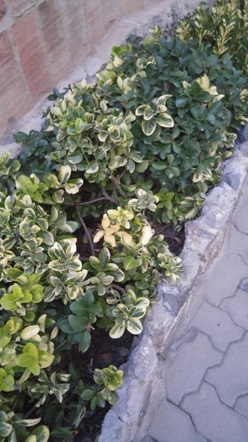  - Barcelona 2 Nov 2016