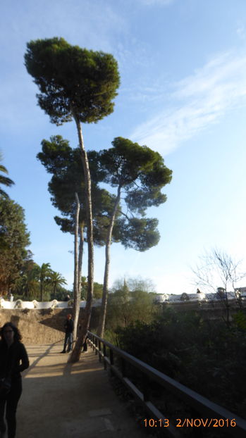 P1040094 - Barcelona 2 Nov 2016