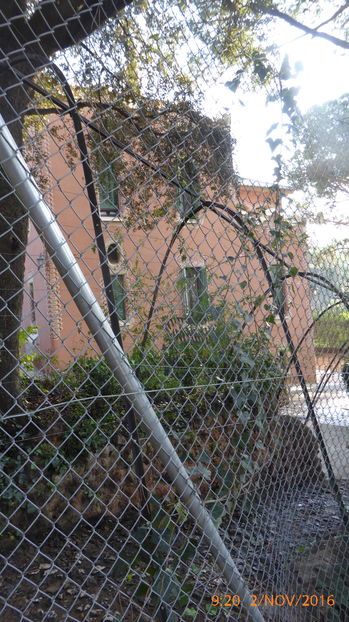 P1040136 - Barcelona 2 Nov 2016