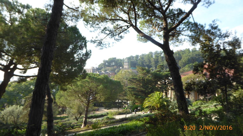 P1040138 - Barcelona 2 Nov 2016