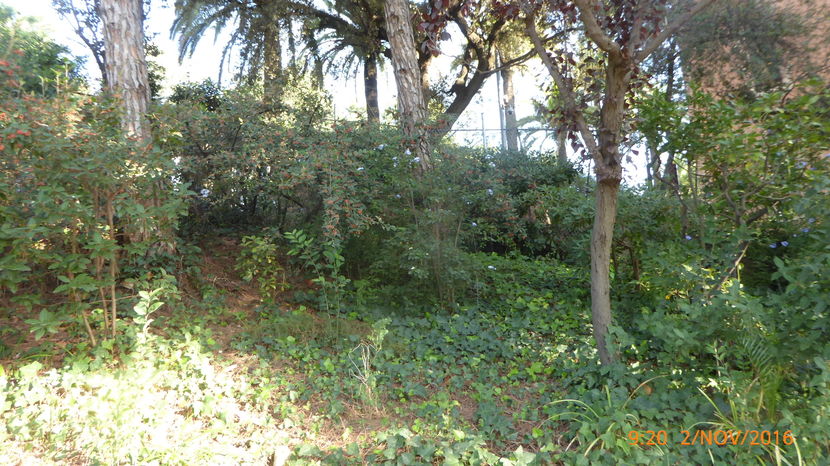 P1040139 - Barcelona 2 Nov 2016