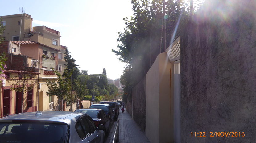 P1040206