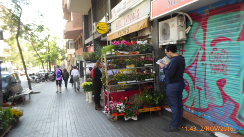 P1040222 - Barcelona 2 Nov 2016