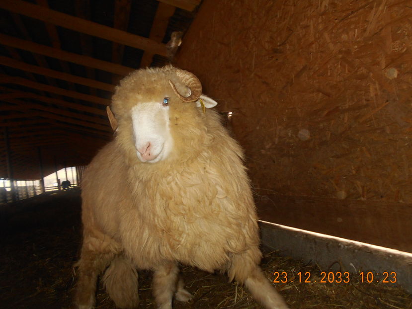 Picture 166 - Berbecuti 2016-2017-2018