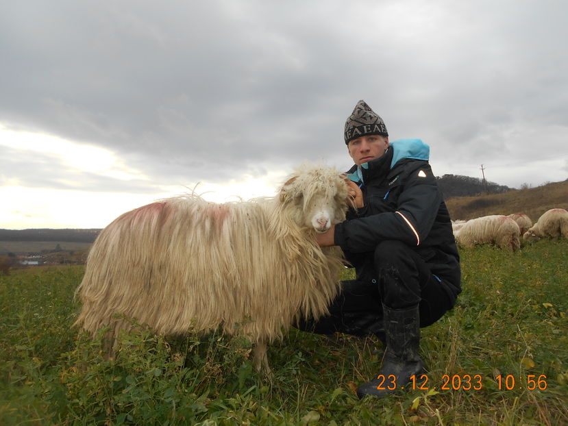 Picture 214 - Mielute 2015-2016-2017