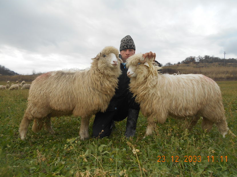 Picture 244 - Mielute 2015-2016-2017