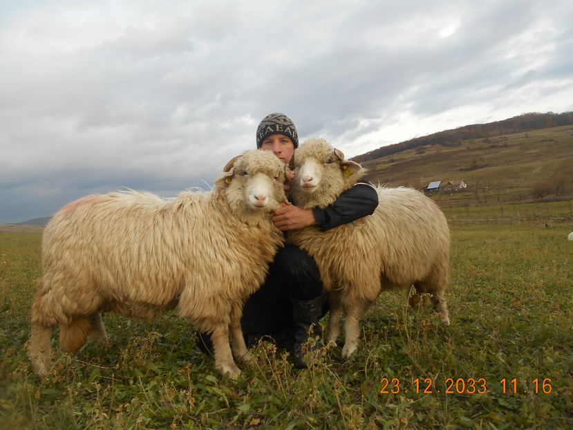 Picture 255 - Mielute 2015-2016-2017