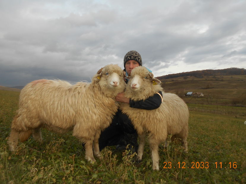 Picture 256 - Mielute 2015-2016-2017