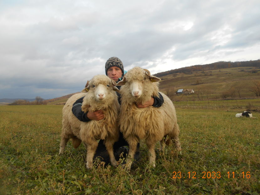 Picture 257 - Mielute 2015-2016-2017