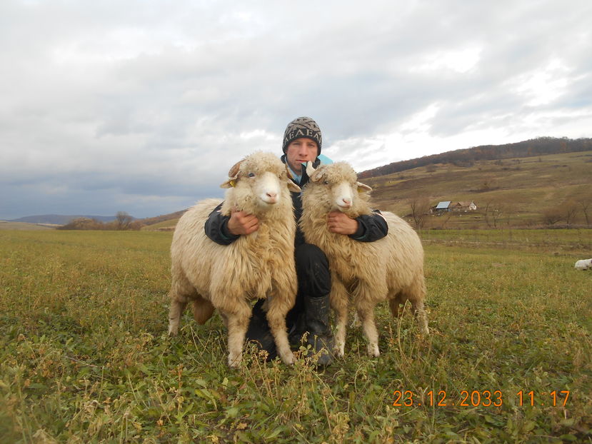 Picture 259 - Mielute 2015-2016-2017