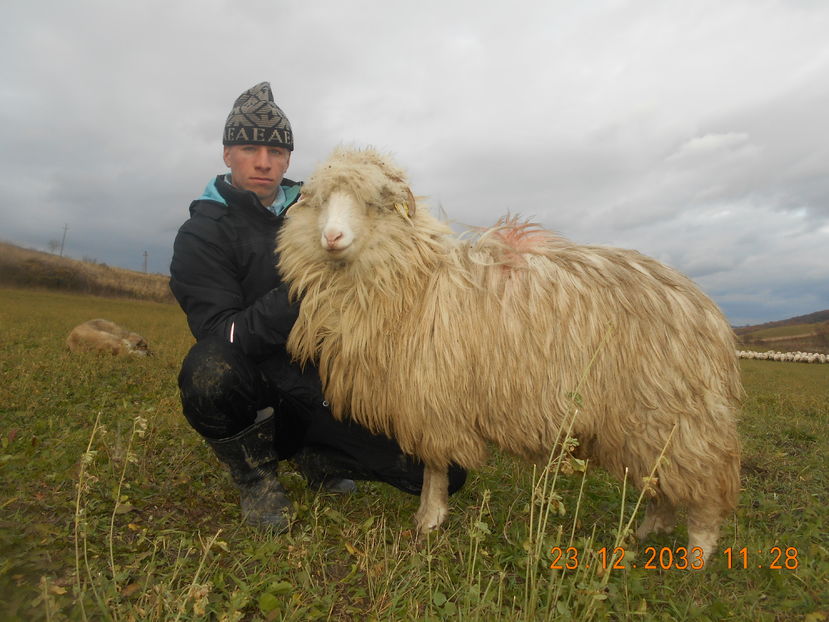 Picture 274 - Mielute 2015-2016-2017