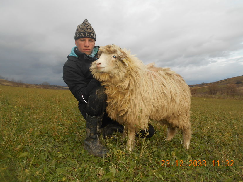 Picture 280 - Mielute 2015-2016-2017