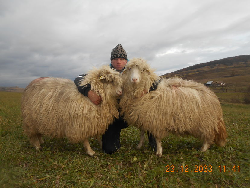 Picture 284 - Mielute 2015-2016-2017