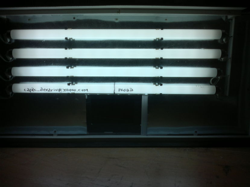 b0559; capac acvariu 80x35 cu instalatie 4 neoane T8 (aprindere eparata pe fiecare neon -4 drosere)
