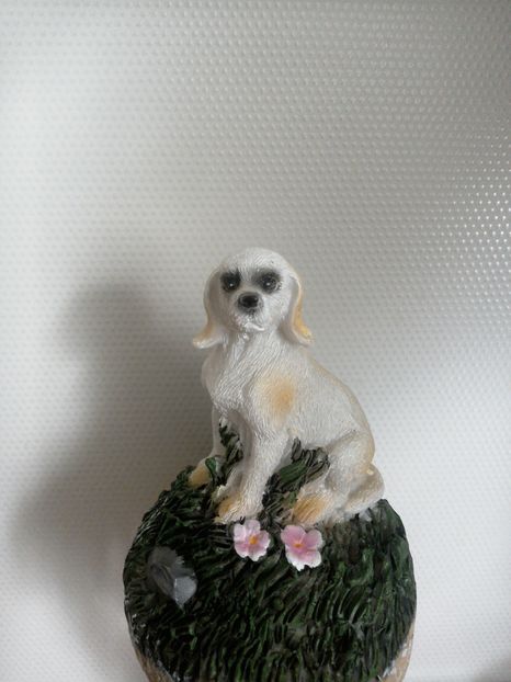 Buddy catel lampa solara