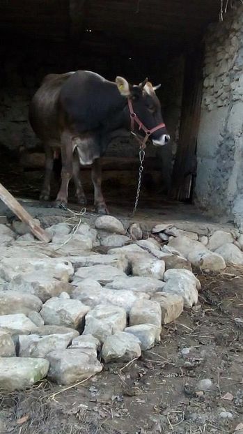 14937034_1623041421330018_1125241291_n