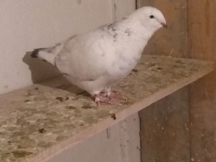 IMG-20161106-WA0012; M 2016
