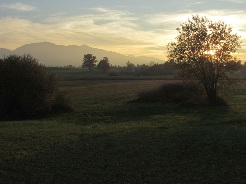 November 2016 002 - Toamna in Bavaria