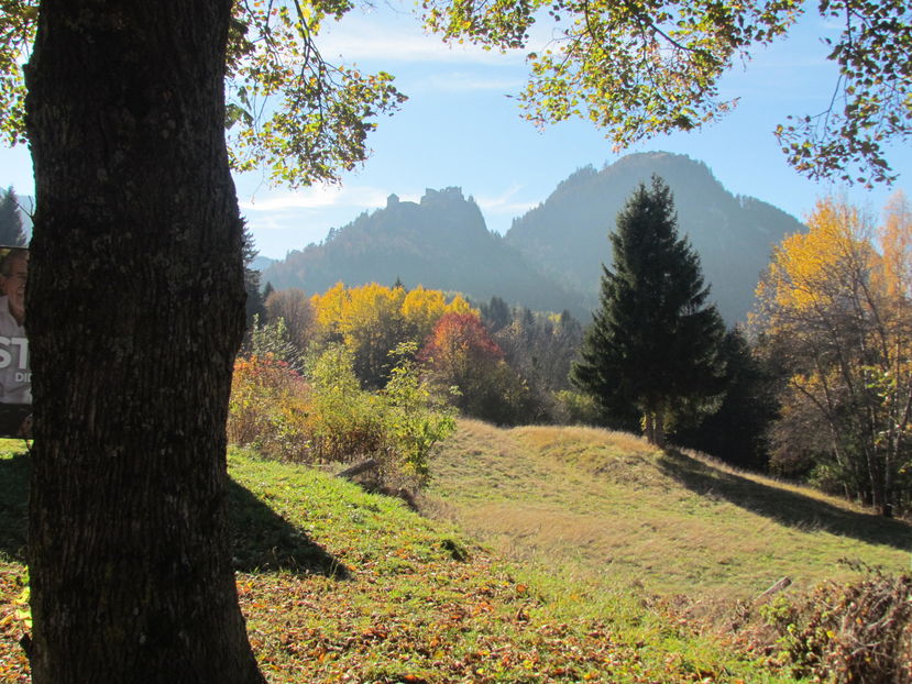 November 2016 005 - Toamna in Bavaria