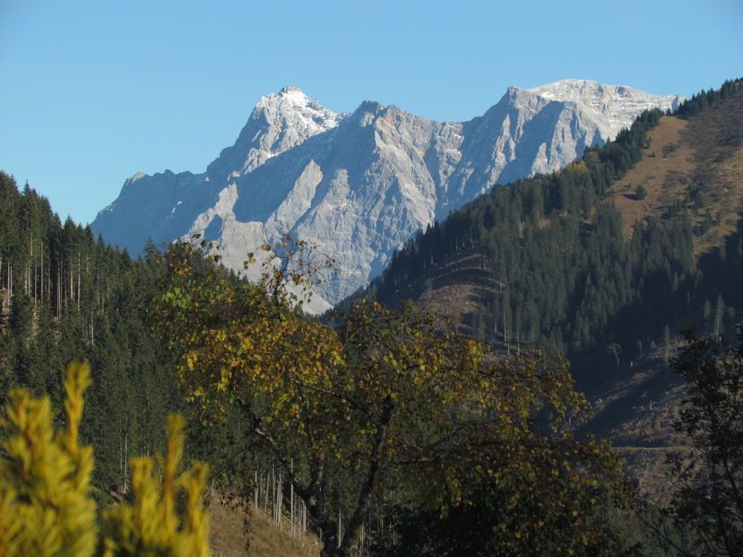 November 2016 035 - Toamna in Bavaria