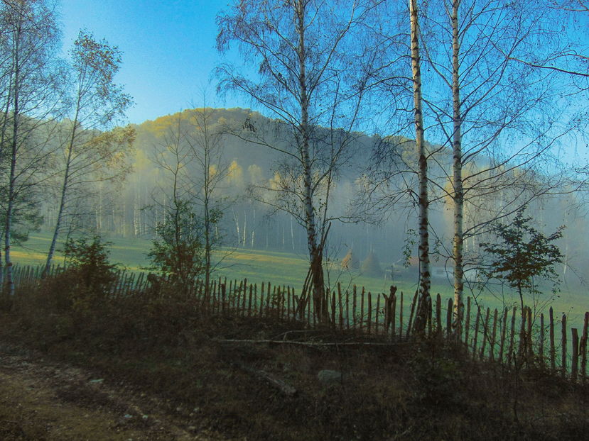  - Photo 04 - Toamna