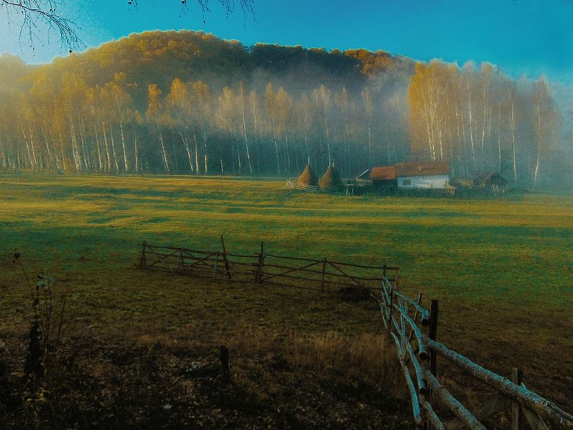  - Photo 04 - Toamna