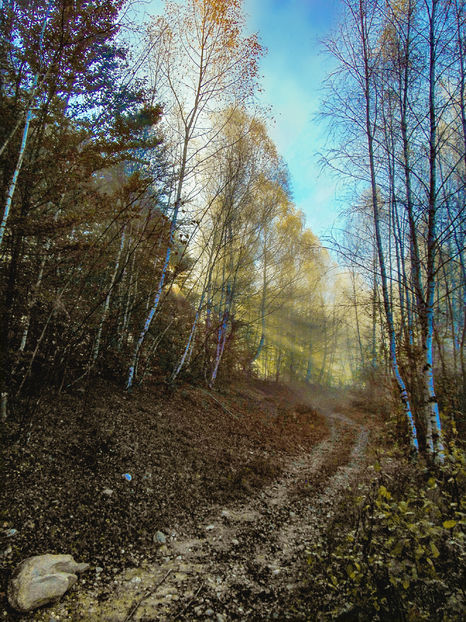  - Photo 04 - Toamna