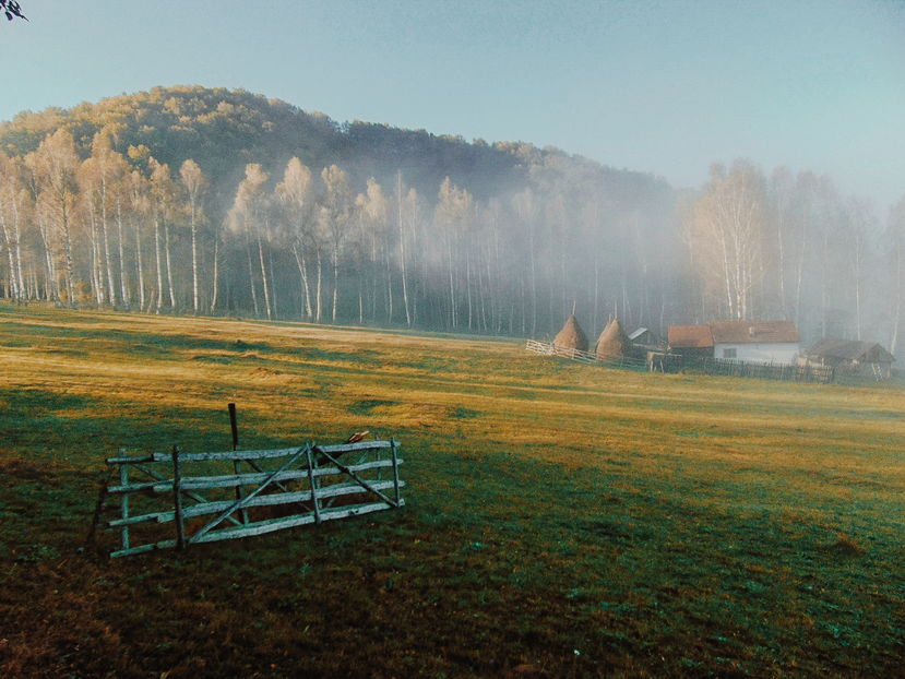  - Photo 04 - Toamna