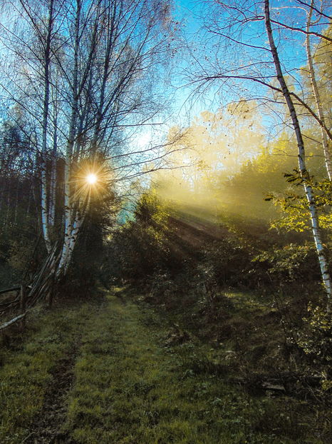  - Photo 04 - Toamna