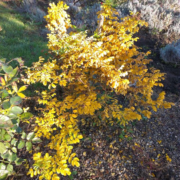 IMAG0941