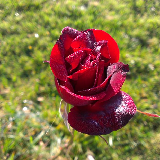 IMAG0947