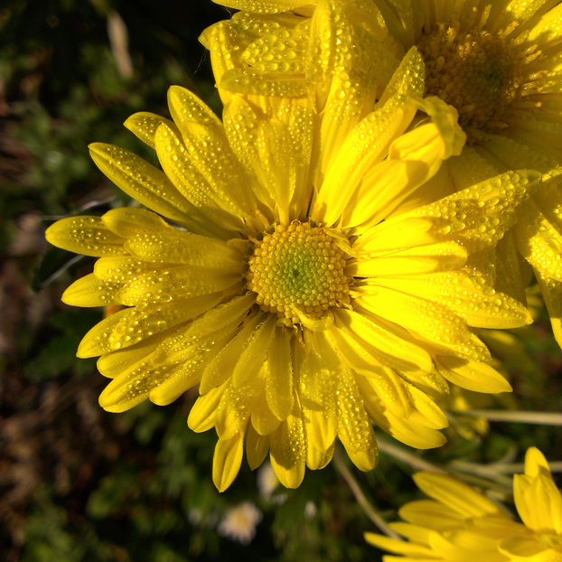 IMAG0951