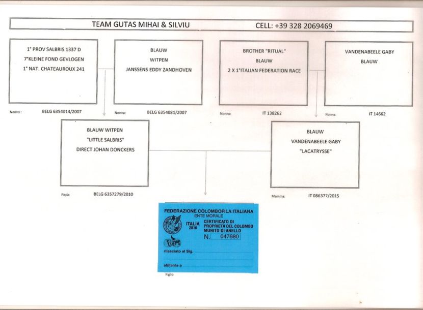 MASC PEDIGREE