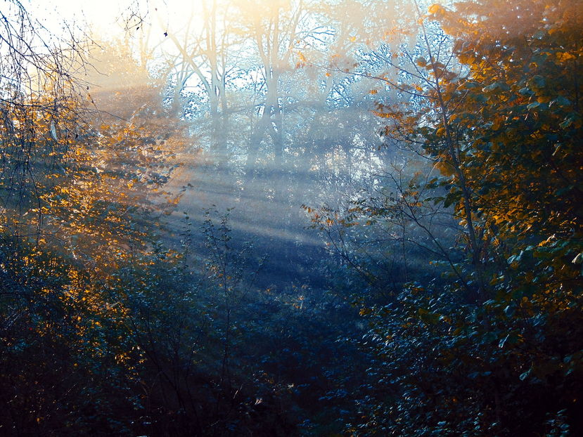  - Photo 04 - Toamna