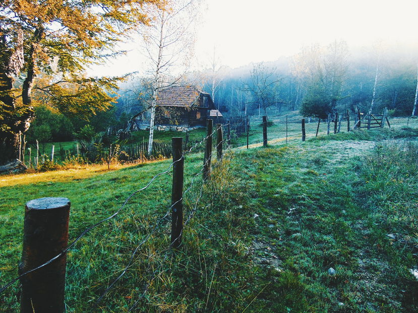  - Photo 04 - Toamna